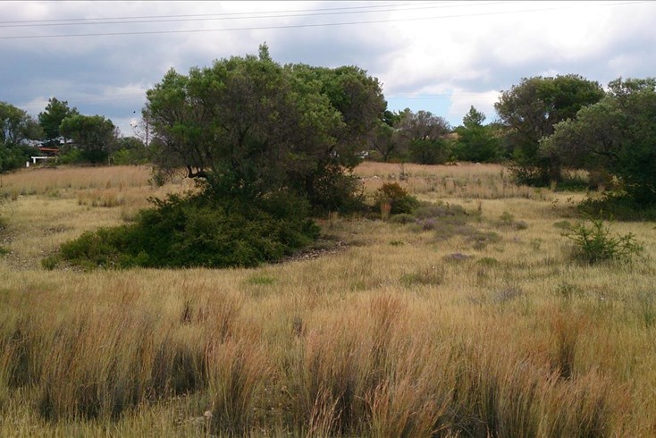 Realty photo 1