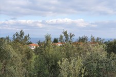 Property 43008 photo 24