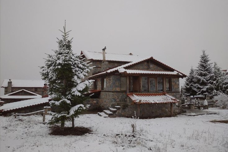 Realty photo 1