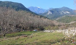 Γη 4800 μ² στην Πιερία