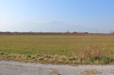 Property 43017 photo 1