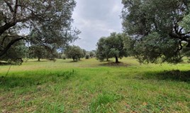 Land 10000 m² auf Kassandra (Chalkidiki)