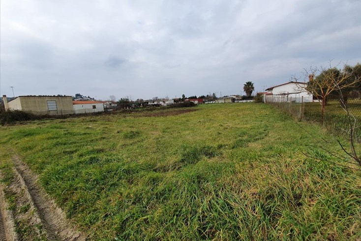 Realty photo 1
