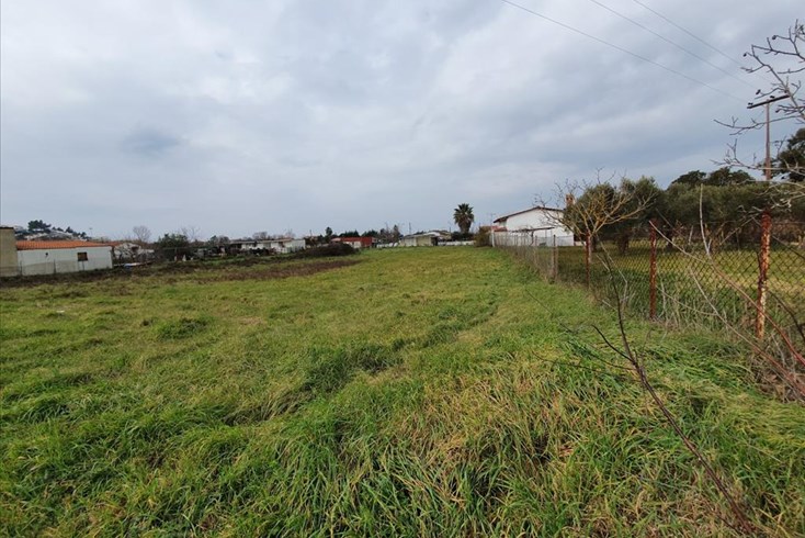 Realty photo 3
