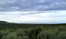 Land 1116 m² in Crete