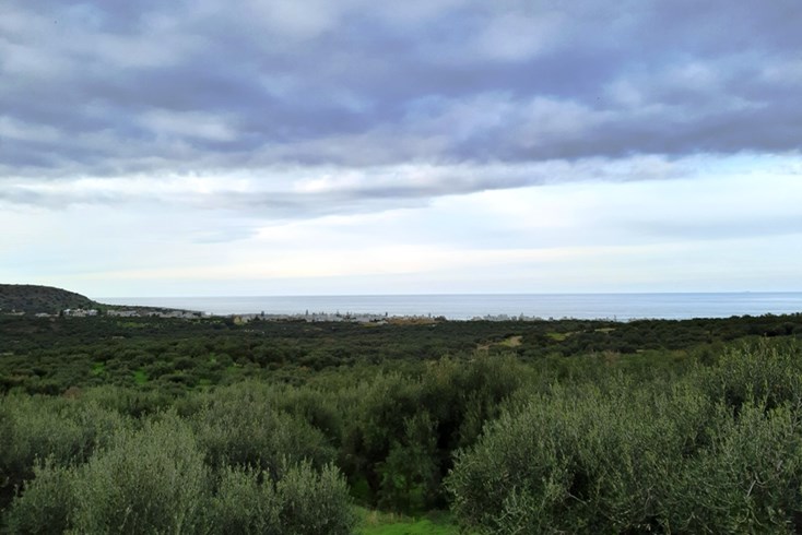 Realty photo 1