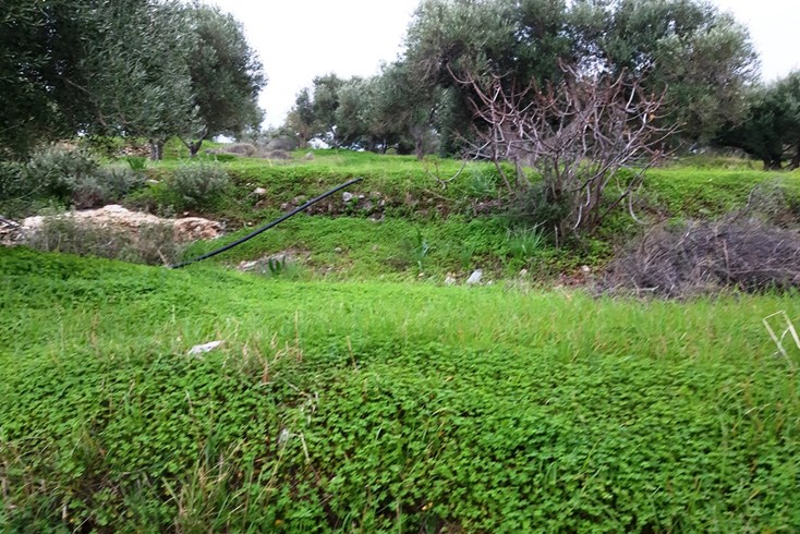 Realty photo 2