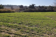 Property 43103 photo 1