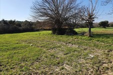 Property 43103 photo 3