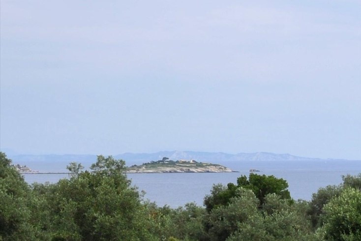 Realty photo 3