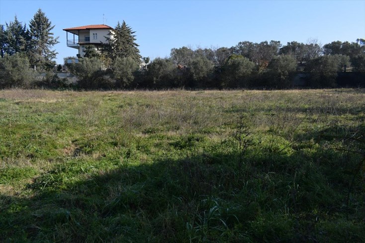Realty photo 1