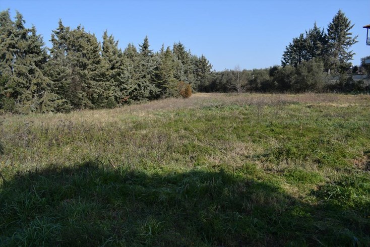 Realty photo 2
