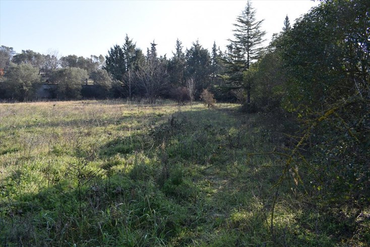 Realty photo 3