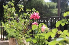 Property 43142 photo 13