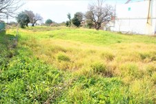 Property 43157 photo 3