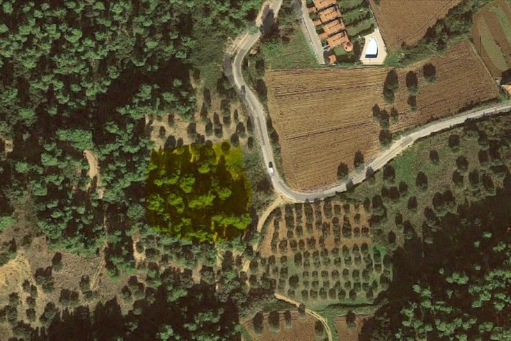 Realty photo 3