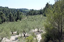 Property 4321 photo 1