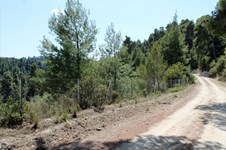 Property 4321 photo 10