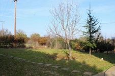 Property 43220 photo 22