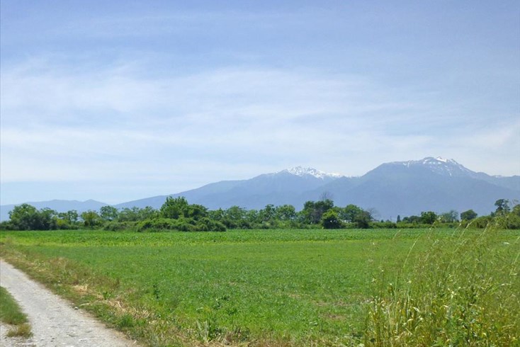 Realty photo 1