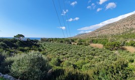 Land 12950 m² auf Kreta