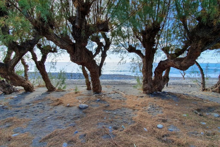 Realty photo 3
