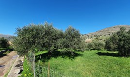 Land 480 m² auf Kreta