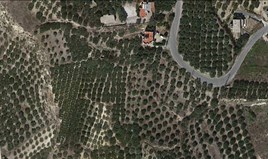 Γη 1000 m² στην Κρήτη