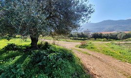 Terrain 1000 m² en Crète