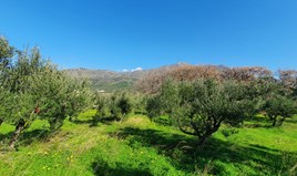 Land 2881 m² in Crete