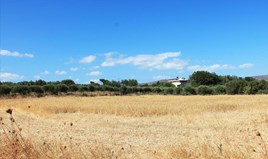 Land 5062 m² in Crete