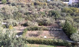 հողատարածք 1307 m² Արեւելյան Peloponnese