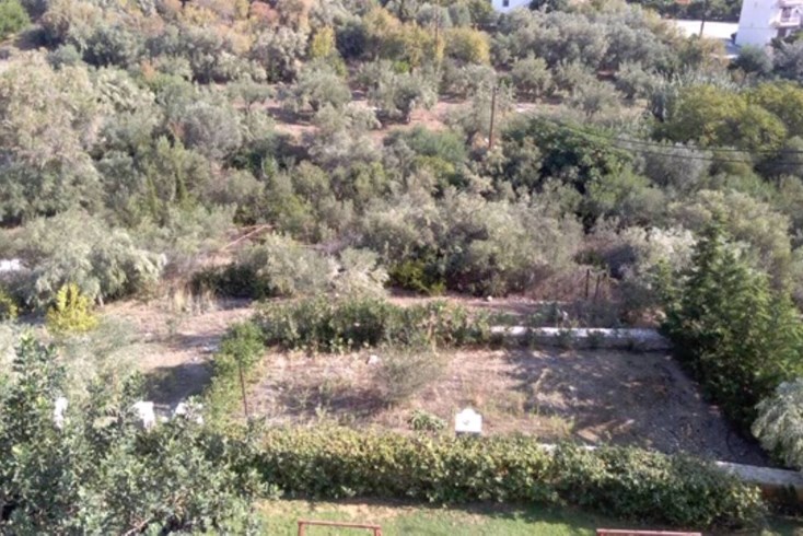 Realty photo 1