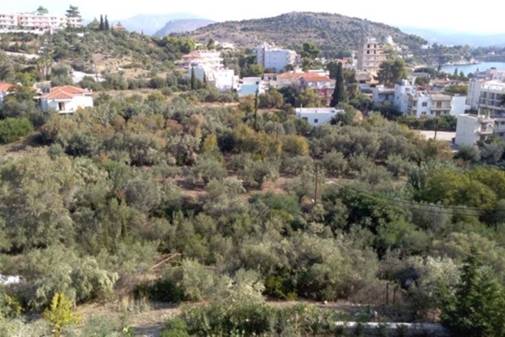 Realty photo 3