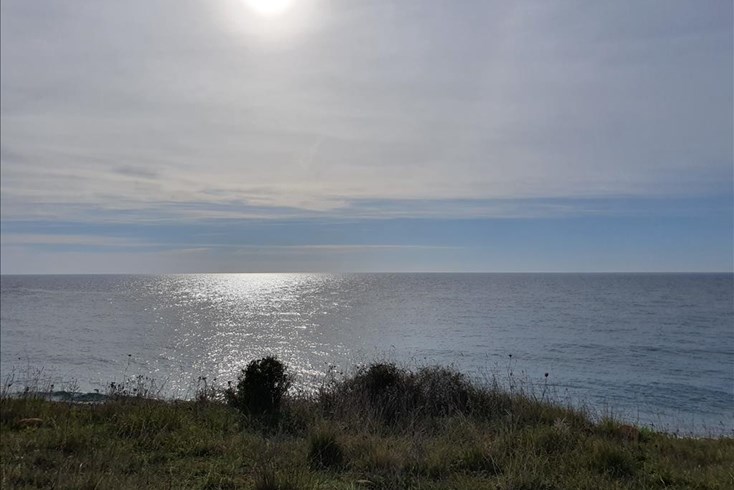 Realty photo 1
