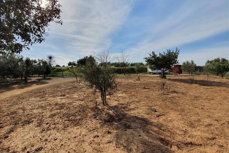 Realty photo 2