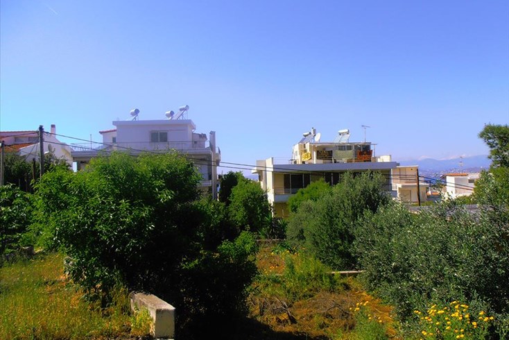 Realty photo 2