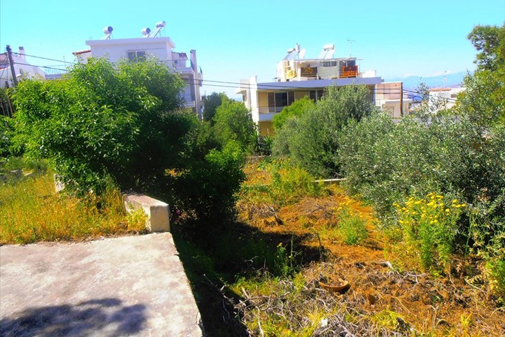 Realty photo 3