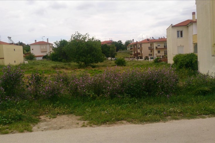 Realty photo 2