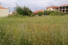 Property 4354 photo 1