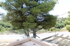 Property 43642 photo 10