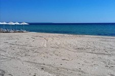 Property 43680 photo 12