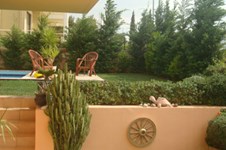 Property 437 photo 13