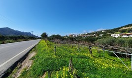 Land 1320 m² in Crete