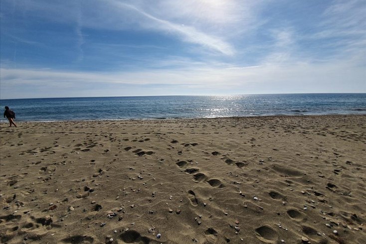 Realty photo 1