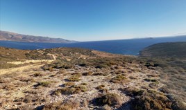 Land 16000 m² in Cyclades