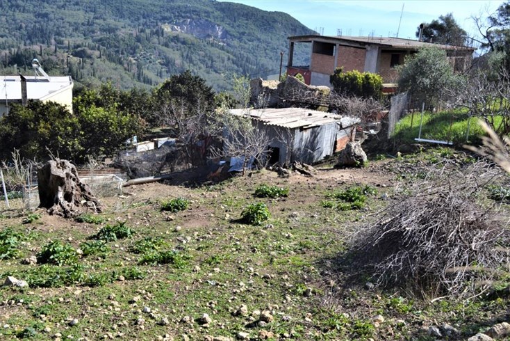 Realty photo 3