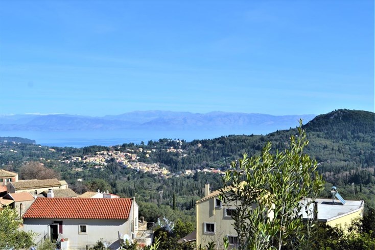 Realty photo 1