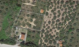 Land 2500 m² in Sithonia, Chalkidiki