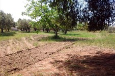 Property 4386 photo 3